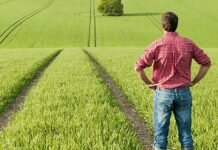 Giovani e agricoltura, attivata la Misura 6 del PSR Lombardia per supportare le nuove generazioni ad avviare aziende agricole psr lombardia misura 6