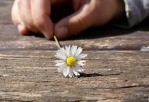 POR-FESR Piemonte 2014-2020