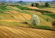 psr umbria misura 16
