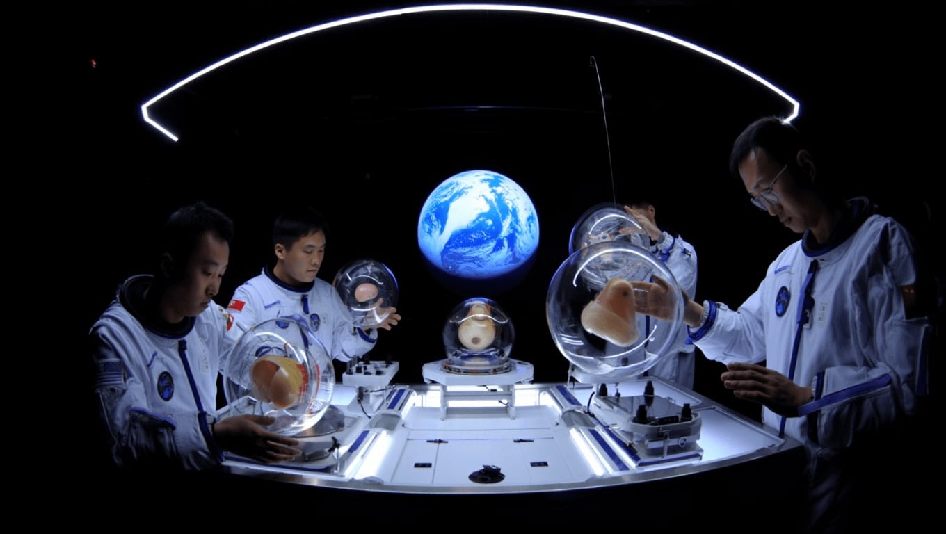 Società         
      La Cina ha lanciato degli embrioni nello spazio per scoprire se è possibile avere bambini spaziali      
        Un esperimento necessario per capire se i sogni di colonizzazione galattica dell'umanità sono davvero realizzabili o no.