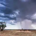 Folla di spettatori in fuga durante una violenta grandinata in un ippodromo, cielo scuro e tempesta