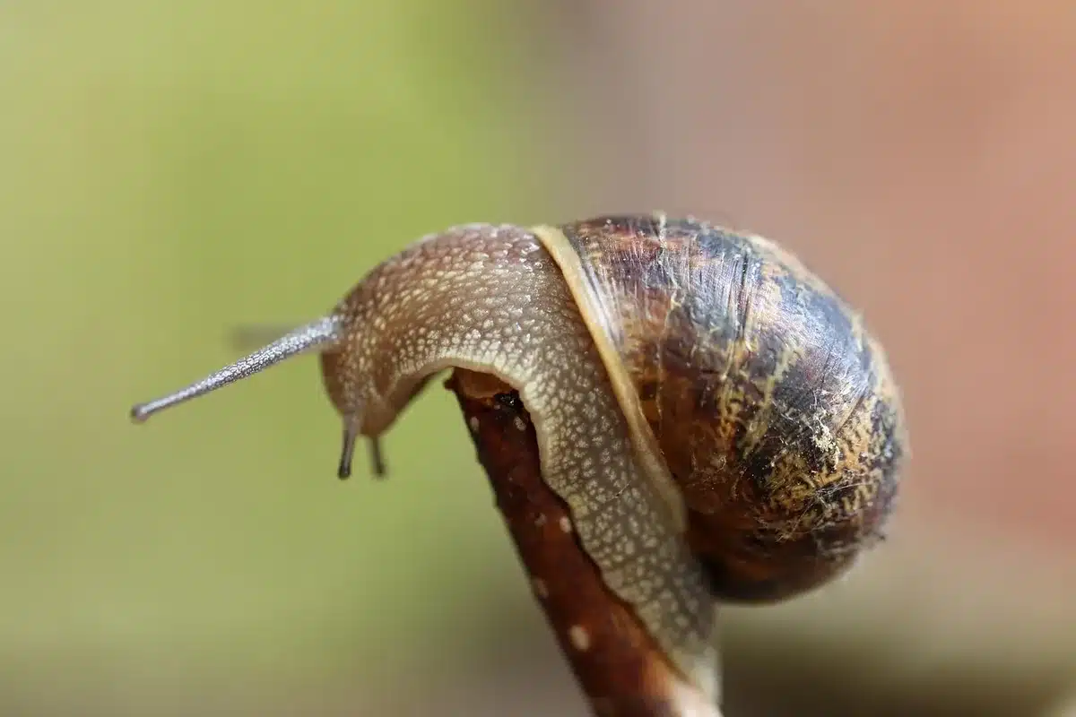 Tecnico che installa un sensore sismico vicino a un impianto audio