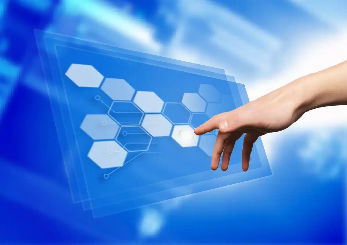 Pulsante stampa evidenziato su un'interfaccia web